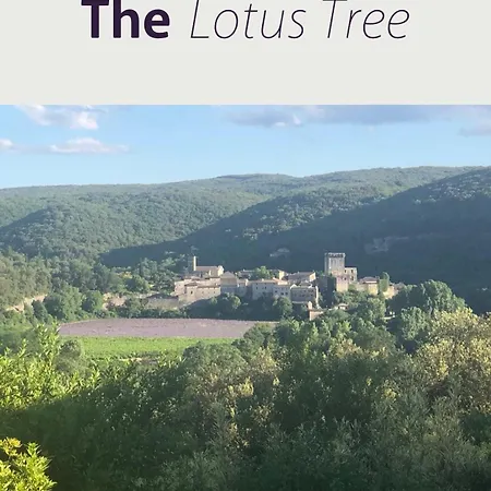 Gæstehus The Lotus Tree - Gaymen Only